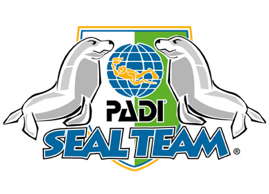 Plaatje voor Seal Team